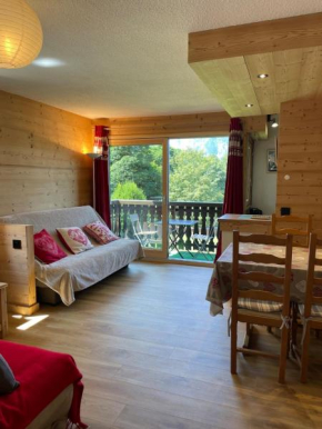 Beautiful renovated 40m2 mountain view apartment in Les Carroz, 3 minutes walk from city center